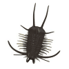 Trilobite