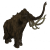 Iceage