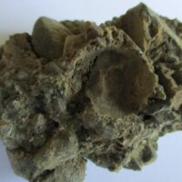 Conglomerate