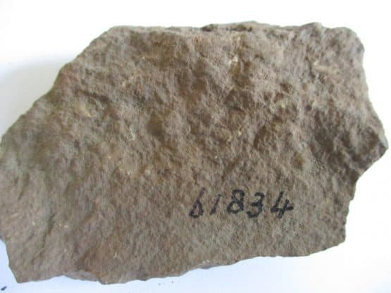 Dolomite Zechstein
