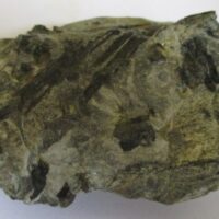 Hoornblende
