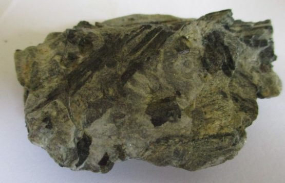 Hoornblende