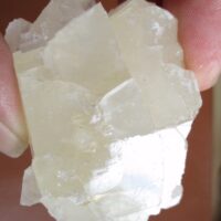 Calciet