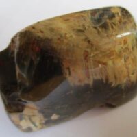 Versteend Hout (gepolijst)