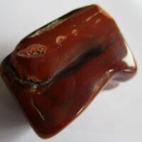Versteend Hout (gepolijst)