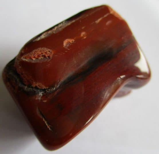 Versteend Hout (gepolijst)