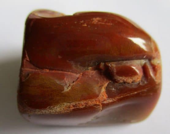 Petrified Wood (polished)