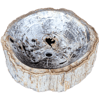 Versteend Hout