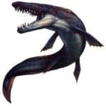 Mosasaurus Fossielen