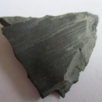 Fossil Plants (div)