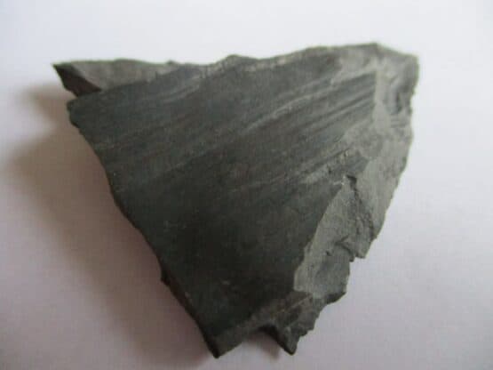 Fossil Plants (div)