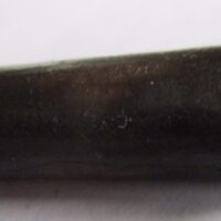 Belemnite Fossil