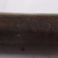 Belemnite Fossil