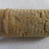 De grootte van deze crinoïde stam is 3 cm.