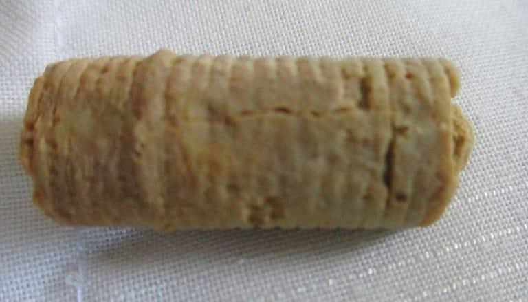 De grootte van deze crinoïde stam is 3 cm.