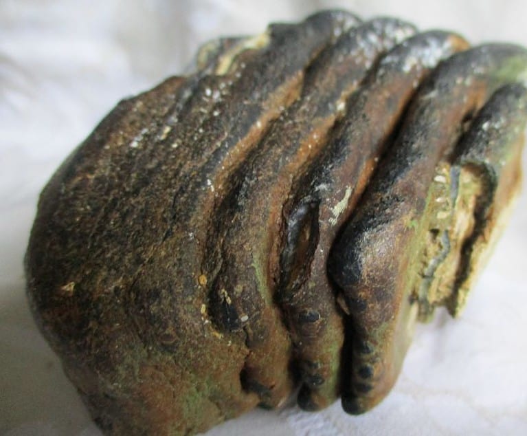 De grootte van deze mammoet tand fragment is 13 bij 8 bij 8 cm.