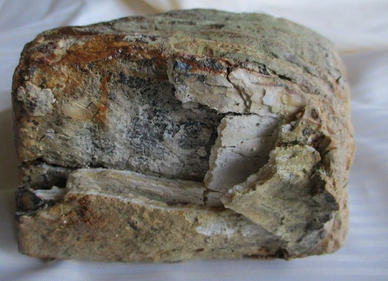 De grootte van deze mammoet tand fragment is 15 bij 9 bij 9 cm.