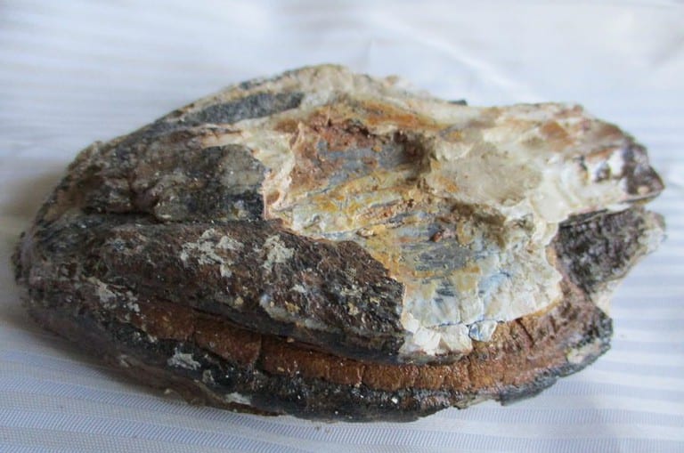 De grootte van deze mammoet tand fragment is 13 bij 10 bij 3 cm.