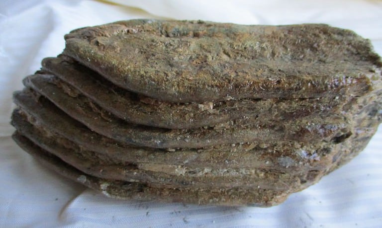 De grootte van deze mammoet tand fragment is 14 bij 7 bij 5 cm.