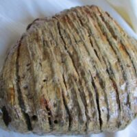 Mammoth Molar (fragment)