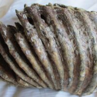 Mammoth Molar (fragment)