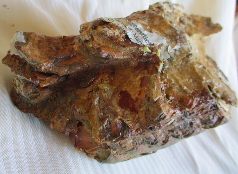 De grootte van deze mammoet tand fragment is 18 bij 9 bij 8 cm.