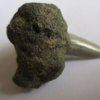 Fossil Shark Tooth