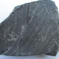 De grootte van deze fossiele plant is 5 bij 3 cm. De plant is gevonden in Dickenberg in Duitsland. Het fossiel is tussen de 315.2 - 298.5 miljoen jaar oud (boven Carboon).