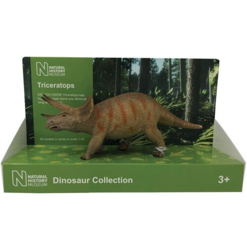 Natural History Museum Triceratops