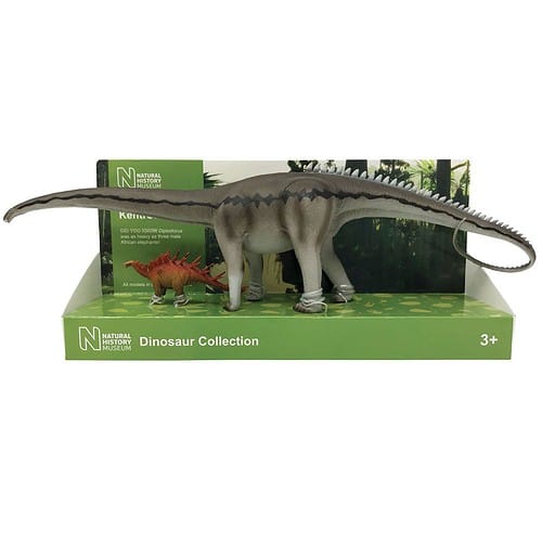 De grootte van deze natural history museum diplodocus en kentrosaurus is 41 bij 11.50 cm.