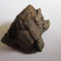 Common Chondrite Meteorite (Crust)