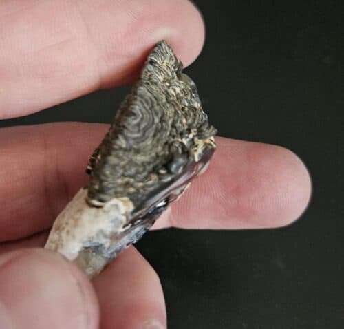 De grootte van deze geode is 3 cm.