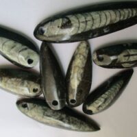 Orthoceras Pendant