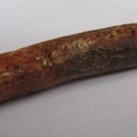 Rebbachisaurus Tooth