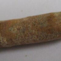 De grootte van deze Rebbachisaurus tand is 3.5 cm. De tand is gevonden in Marokko. Het fossiel is tussen de 99 en 97 miljoen jaar oud.