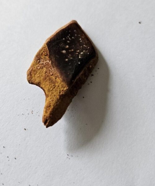 De grootte van deze lepidotes visschub is 5.0 cm. Het fossiel is gevonden in Marokko en komt uit het Trias - Krijt (201 – 145 miljoen jaar oud).