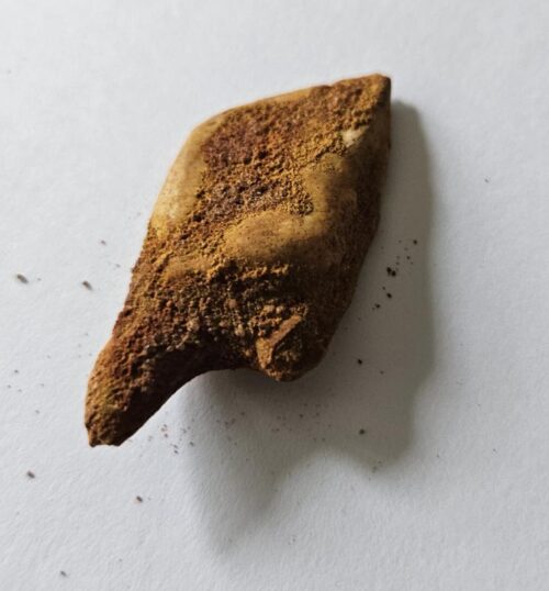 De grootte van deze lepidotes visschub is 5.0 cm. Het fossiel is gevonden in Marokko en komt uit het Trias - Krijt (201 – 145 miljoen jaar oud).