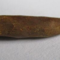 ebbachisaurus teeth