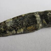 De grootte van deze Diplodocus tand is 3.2 cm. De tand heeft een ouderdom van ongeveer 150 miljoen jaar.