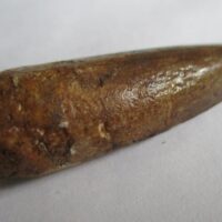 De grootte van deze Spinosaurus tand is 5.0 cm. Het fossiel is gevonden in Marokko en komt uit het Krijt (112 – 93.5 miljoen jaar oud).