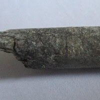 De grootte van deze Pterosauriër tand is 3 cm. Het fossiel is gevonden in de Ténéréwoestijn (Elrhaz formation, Nigeria) en komt uit het Krijt (145- 66 miljoen jaar oud).