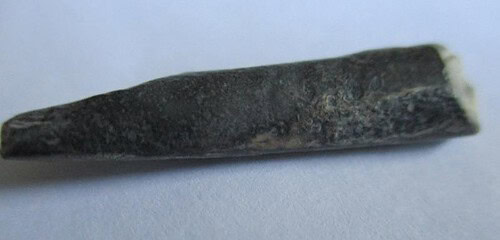 De grootte van deze Pterosauriër tand is 3 cm. Het fossiel is gevonden in de Ténéréwoestijn (Elrhaz formation, Nigeria) en komt uit het Krijt (145- 66 miljoen jaar oud).