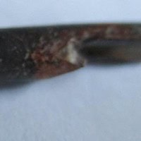 De grootte van deze Pterosauriër tand is 3 cm. Het fossiel is gevonden in de Ténéréwoestijn (Elrhaz formation, Nigeria) en komt uit het Krijt (145- 66 miljoen jaar oud).