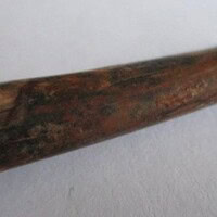 De grootte van deze Pterosauriër tand is 3 cm. Het fossiel is gevonden in de Ténéréwoestijn (Elrhaz formation, Nigeria) en komt uit het Krijt (145- 66 miljoen jaar oud).