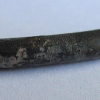 De grootte van deze Pterosauriër tand is 3 cm. Het fossiel is gevonden in de Ténéréwoestijn (Elrhaz formation, Nigeria) en komt uit het Krijt (145- 66 miljoen jaar oud).