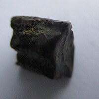 De grootte van deze Hadrosaurus Tand is 0.5 cm. Het fossiel is gevonden in Montana, USA en komt uit het laat Krijt (86.3- 66 miljoen jaar geleden).