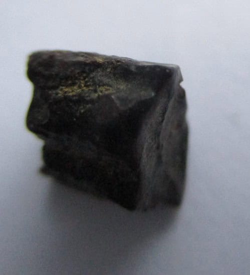 De grootte van deze Hadrosaurus Tand is 0.5 cm. Het fossiel is gevonden in Montana, USA en komt uit het laat Krijt (86.3- 66 miljoen jaar geleden).