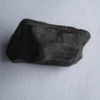 De grootte van deze Hadrosaurus Tand is 0.5 cm. Het fossiel is gevonden in Montana, USA en komt uit het laat Krijt (86.3- 66 miljoen jaar geleden).