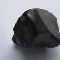 De grootte van deze Hadrosaurus Tand is 0.5 cm. Het fossiel is gevonden in Montana, USA en komt uit het laat Krijt (86.3- 66 miljoen jaar geleden).